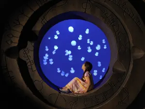 The Lost Chambers Aquarium