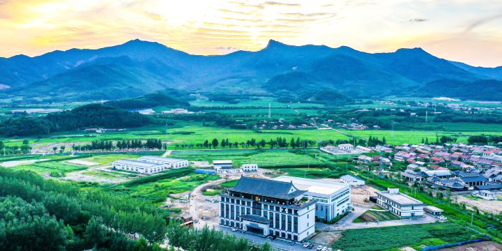 Wild Ginseng Museum