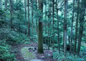 瑤琳國家森林公園