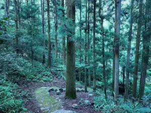 瑤琳國家森林公園