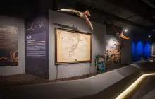 Sanya Dinosaur Fossil Museum