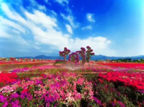 Hainan Rosewood Valley Cultural Tourism Area