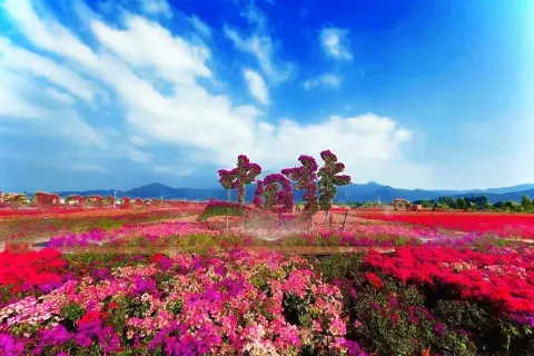 Hainan Rosewood Valley Cultural Tourism Area