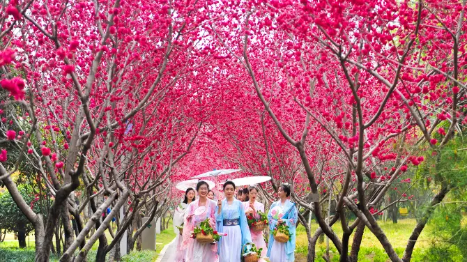 2_สวนนิทรรศการสีเขียวของจีน