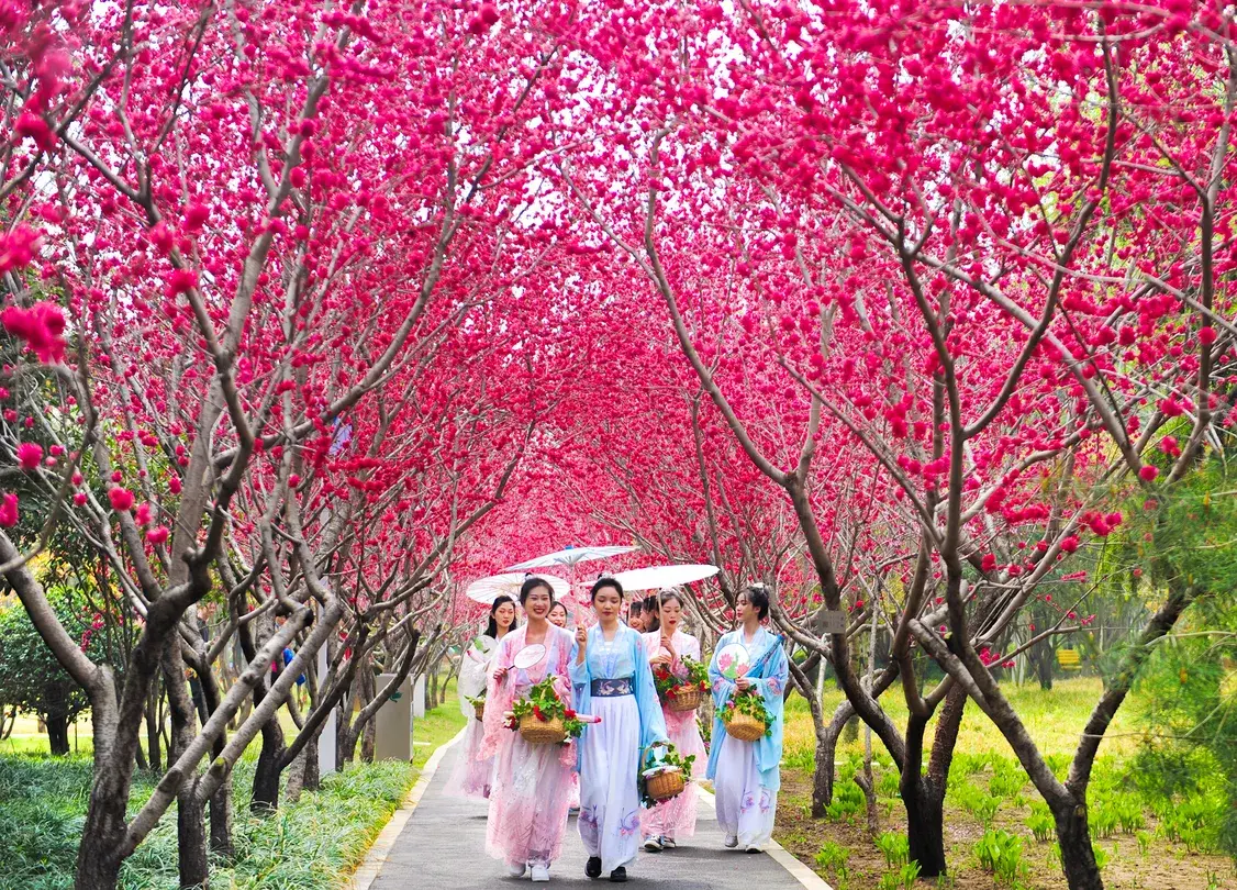 2_สวนนิทรรศการสีเขียวของจีน