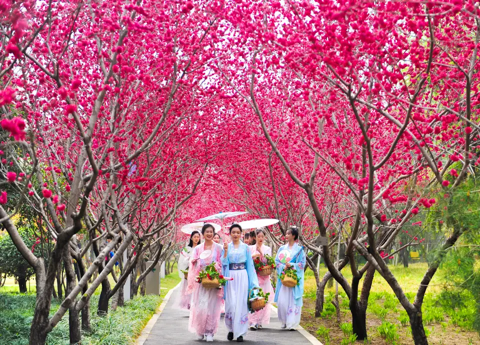 5_สวนนิทรรศการสีเขียวของจีน