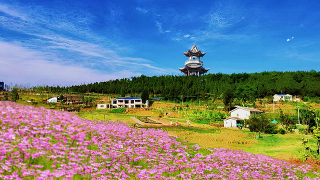 zhao hua yao bo yuan