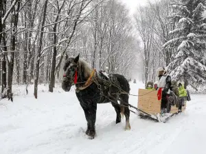 จุดชมวิวภูเขาหยาบลีฮู