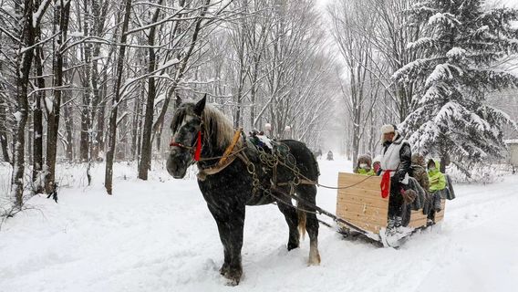 Yabuli Hufengling Scenic Area