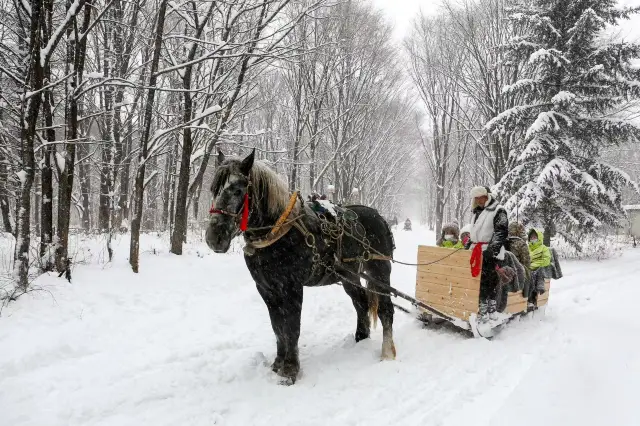 Snow Sledding in Shangzhi