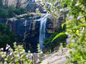The National Forest Park of Mount Meng Shan