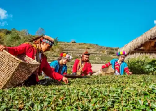 優遊吧斯鄒族文化部落