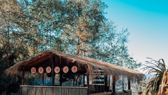 gao li gong shan qing yan zi