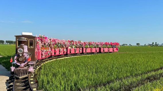 Shenyang