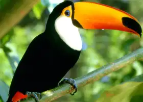 名護自然動植物園