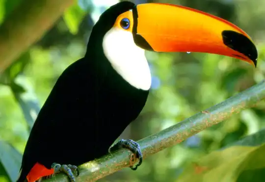 ネオパークオキナワ周辺のホテル