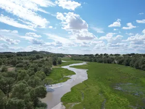 Silver Haven