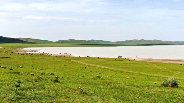 Milk Lakeside