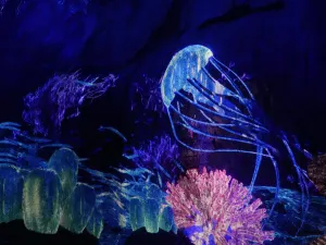 Blue Tears Fantasy Theme Park