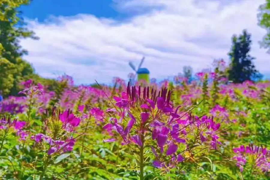 北京国際鮮花港