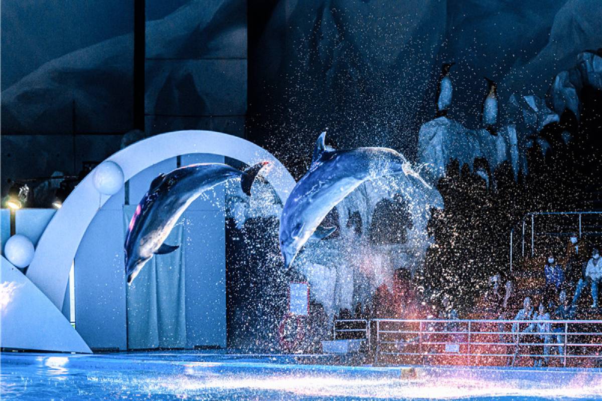 青島海昌極地海洋公園