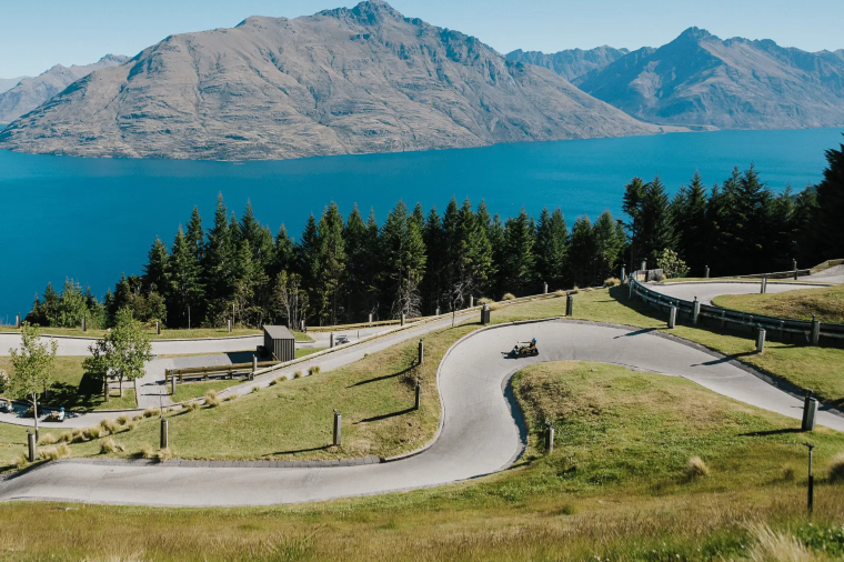 New Zealand Traveller Declaration (NZTD) / Customs Declaration
