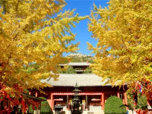 Chishan Scenic Area