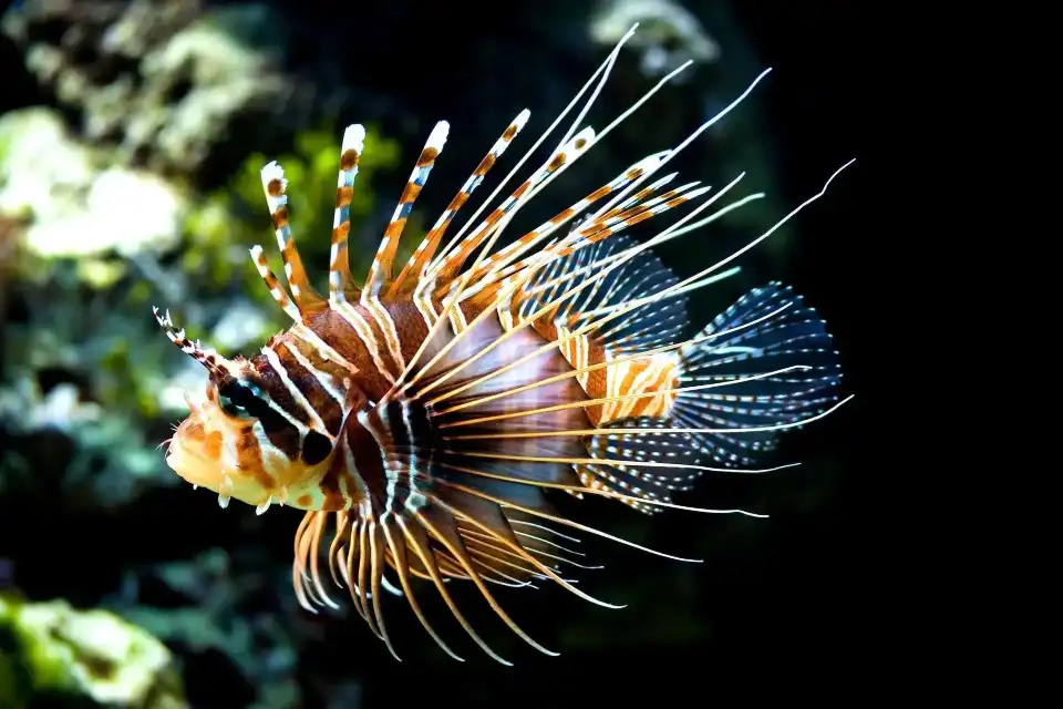 3_Chongqing Ocean World