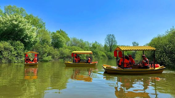 Thẩm Dương