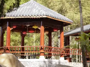 Dalat Elephant Mountain Pine Forest