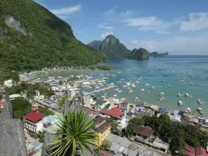 El Nido Via Ferrata Canopy Walk