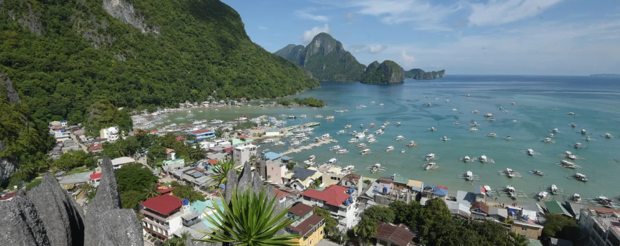 El Nido Via Ferrata Canopy Walk