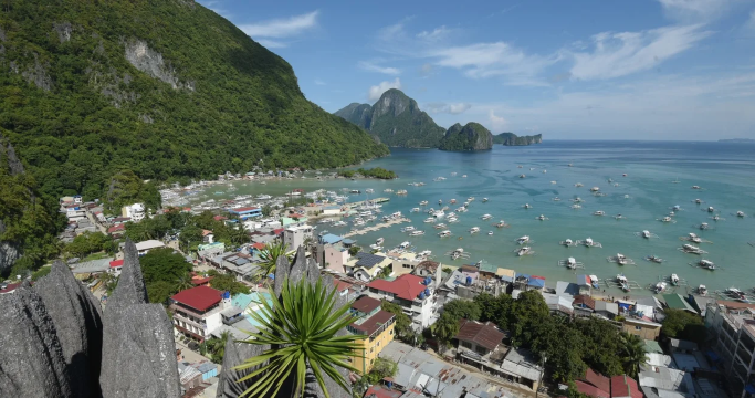 El Nido Via Ferrata Canopy Walk