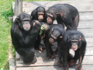 Dalian Forest Zoo
