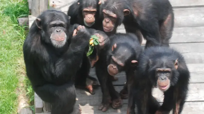 3_大連森林動物園