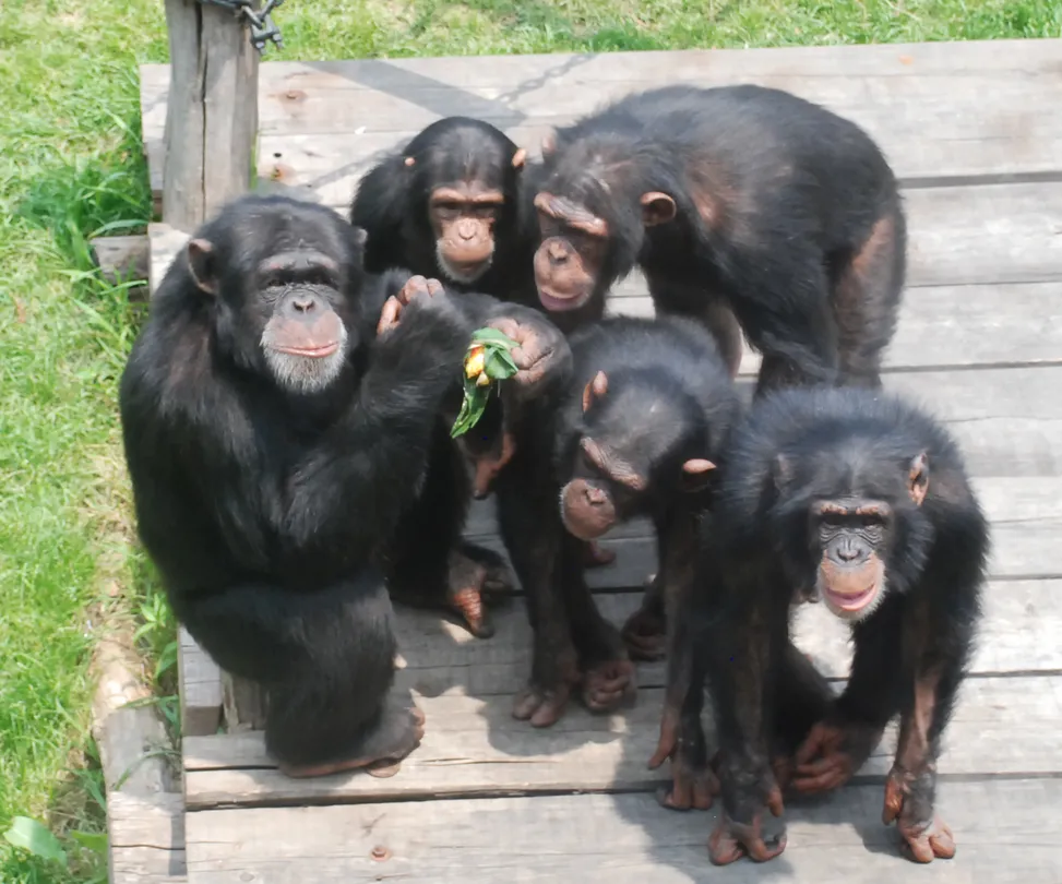 3_大連森林動物園
