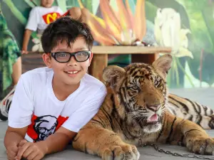 Sriayuthaya Lion Park