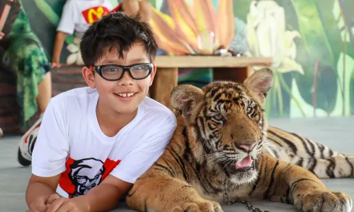 Sriayuthaya Lion Park