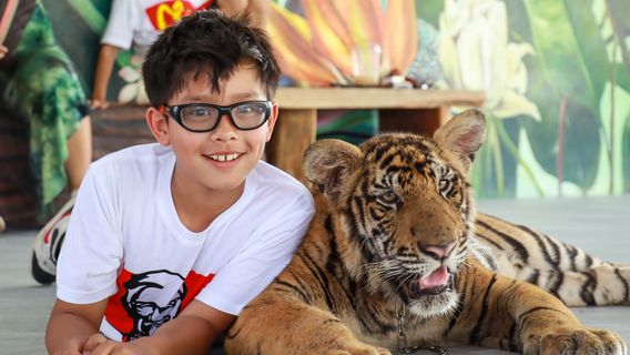 Sriayuthaya Lion Park