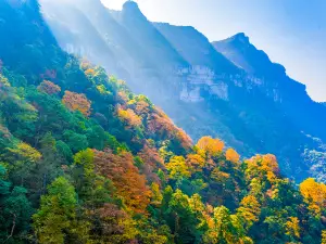 Gold Buddha Mountain