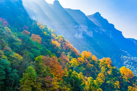Gold Buddha Mountain