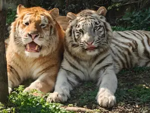 楽和楽都動物テーマパーク