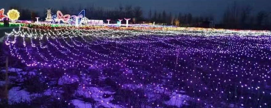 Shenzhou City Denggao Family Farm