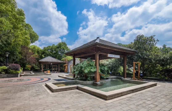 二靈山温泉門票成人