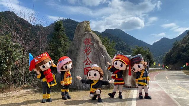 金秀銀杉森林公園