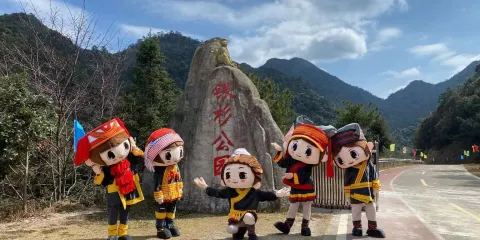 金秀銀杉森林公園