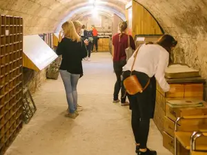 Wine & Trade Museum