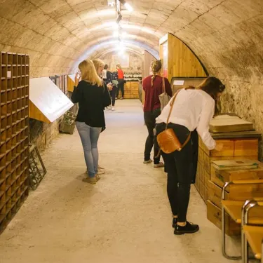 Wine & Trade Museum