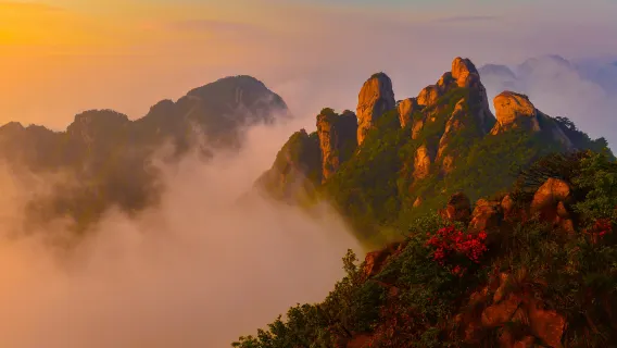 親子景點