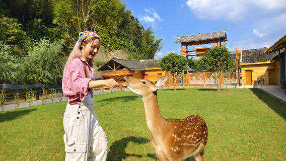 Deer Wild Wonderland